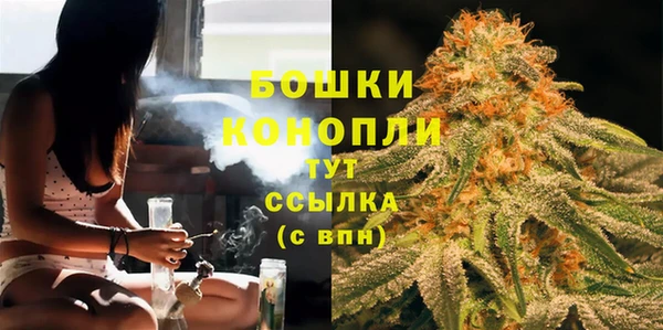 прущая мука Корсаков