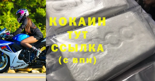 дживик Коряжма